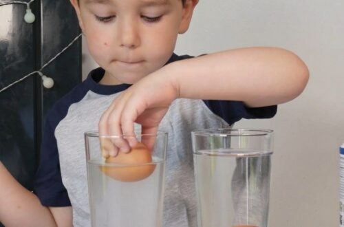 Das Experiment mit dem schwimmenden Ei in Salzwasser